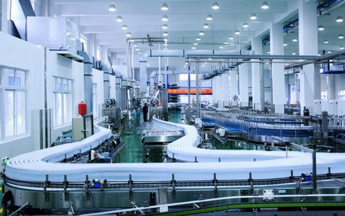 文成娃哈哈 数据驱动，打造省级未来工厂新标杆